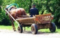 Продажи ехали со скрипТом
